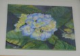 /album/novembre-2017-exposition-en-lhonneur-de-raymond-dumas/catherine-img-7020-jpg1/